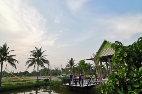 Land in Lamphun, Thailand 19200 sq.m. № 169458 - photo 2