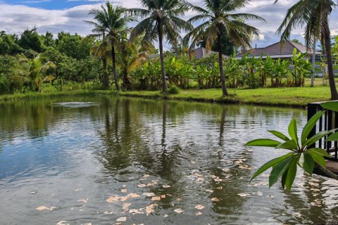 Land in Lamphun, Thailand 19200 sq.m. № 169458 - photo 3