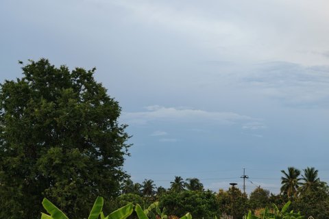 Land in Lamphun, Thailand 19200 sq.m. № 169458 - photo 6