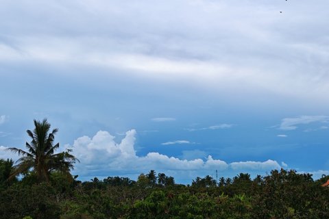 Land in Lamphun, Thailand 19200 sq.m. № 169458 - photo 9