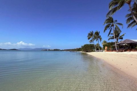 Terrain à Ko Samui, Thaïlande 4372 m2 № 154249 - photo 4