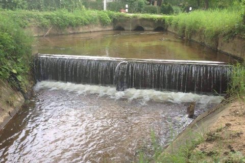 Земельный участок в Чиангмае, Таиланд  № 162491 - фото 6