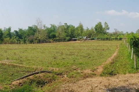 Земельный участок в Чиангмае, Таиланд  № 162491