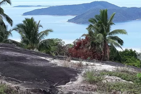 Land in Ko Samui, Thailand 96000 sq.m. № 138971 - photo 6