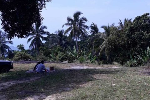 Land in Ko Samui, Thailand 96000 sq.m. № 138971 - photo 4