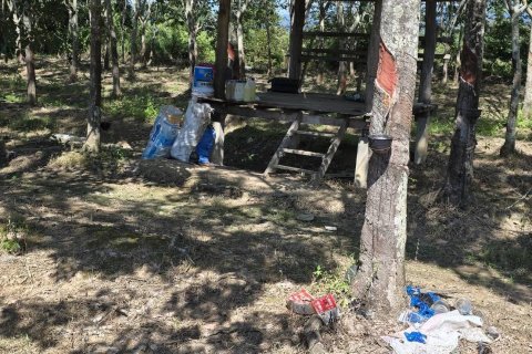 Земельный участок в Пхаяо, Таиланд 8000м2  № 157263 - фото 5