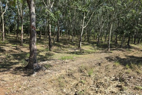 Земельный участок в Пхаяо, Таиланд 8000м2  № 157263 - фото 7