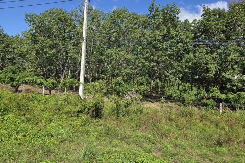 Земельный участок в Пхаяо, Таиланд 8000м2  № 157263 - фото 11