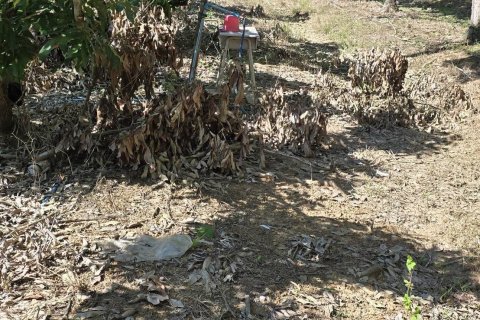 Земельный участок в Пхаяо, Таиланд 8000м2  № 157263 - фото 4