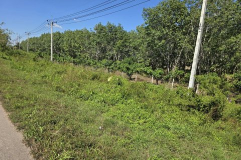 Земельный участок в Пхаяо, Таиланд 8000м2  № 157263 - фото 9