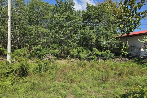 Земельный участок в Пхаяо, Таиланд 8000м2  № 157263 - фото 8