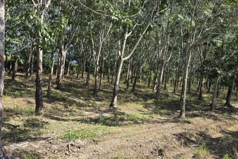 Земельный участок в Пхаяо, Таиланд 8000м2  № 157263 - фото 6