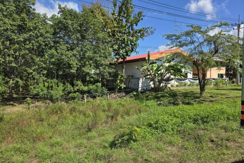 Земельный участок в Пхаяо, Таиланд 8000м2  № 157263 - фото 10