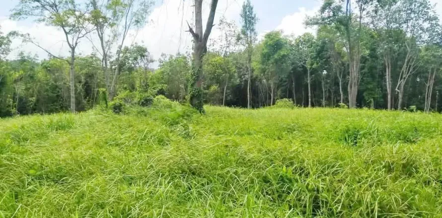 Terrain à Phuket, Thaïlande 12800 m2 № 167886