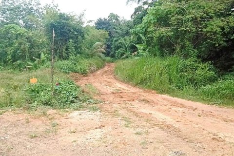 Terrain à Phuket, Thaïlande 12800 m2 № 167886 - photo 4