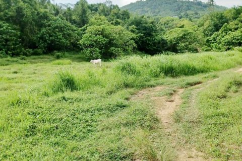 Terrain à Phuket, Thaïlande 12800 m2 № 167886 - photo 6