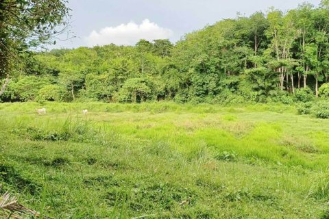 Terrain à Phuket, Thaïlande 12800 m2 № 167886 - photo 5