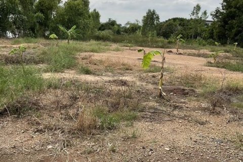 Land in Wang Noi, Thailand 6768 sq.m. № 167885 - photo 2