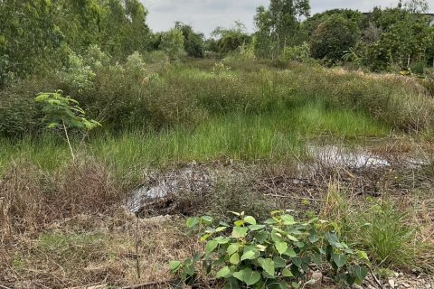 Land in Wang Noi, Thailand 6768 sq.m. № 167885 - photo 5