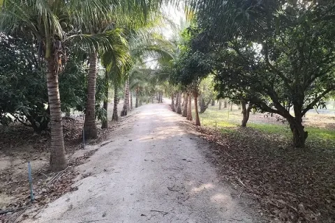 Дом в Канчанабури, Таиланд с 3 спальнями  № 151886 - фото 3