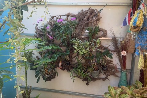 Вилла в Сарафи, Таиланд с 2 спальнями № 154914 - фото 15