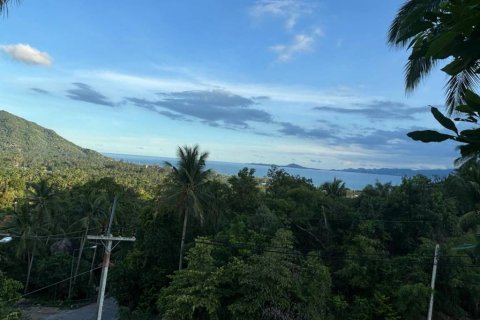 Земельный участок в Сураттхани, Таиланд  № 172913 - фото 6