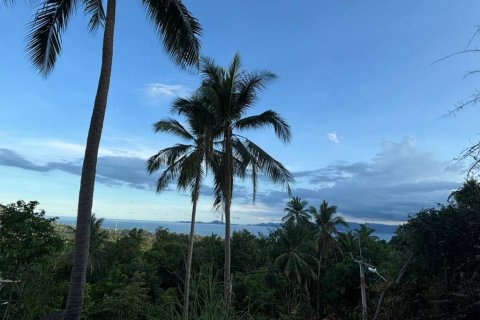 Земельный участок в Сураттхани, Таиланд  № 172913 - фото 3