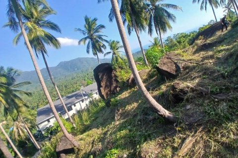 Земельный участок в Сураттхани, Таиланд  № 172913 - фото 7