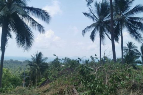 Земельный участок в Сураттхани, Таиланд  № 172913 - фото 4