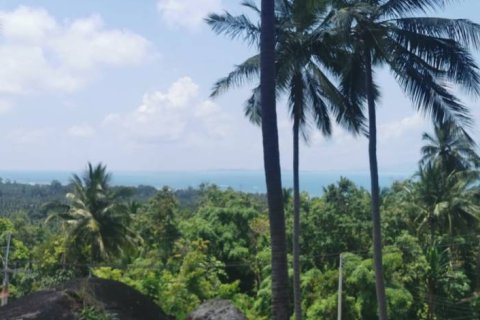 Земельный участок в Сураттхани, Таиланд  № 172913