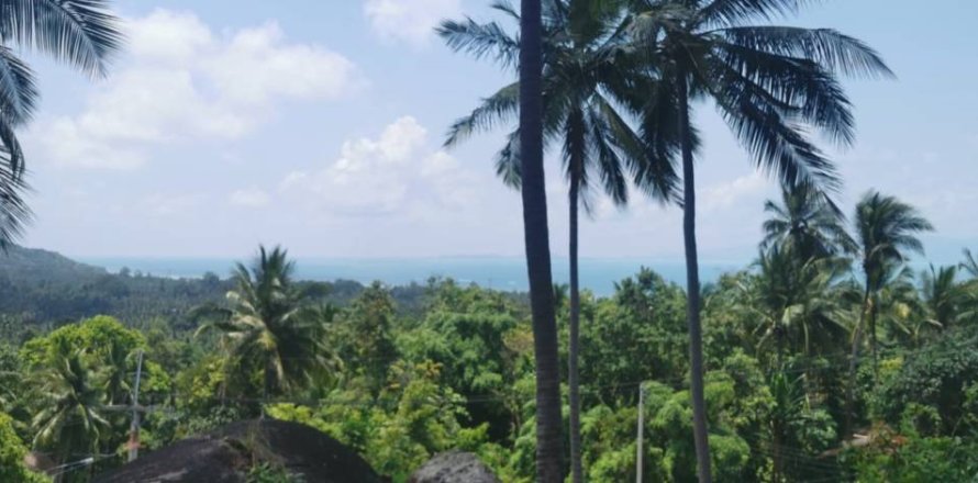 Земельный участок в Сураттхани, Таиланд  № 172913