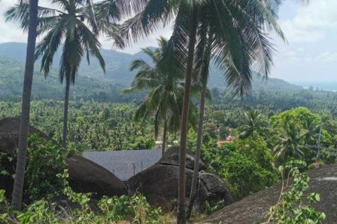 Земельный участок в Сураттхани, Таиланд  № 172913 - фото 9