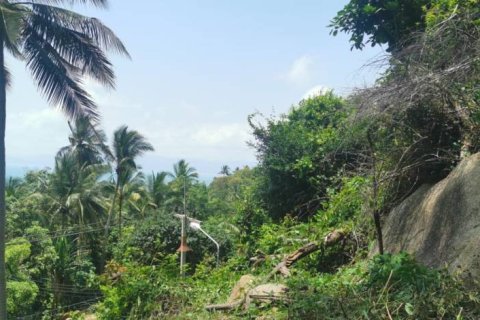 Земельный участок в Сураттхани, Таиланд  № 172913 - фото 8