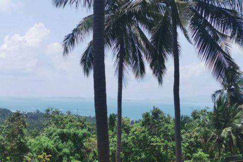 Земельный участок в Сураттхани, Таиланд  № 172913 - фото 2