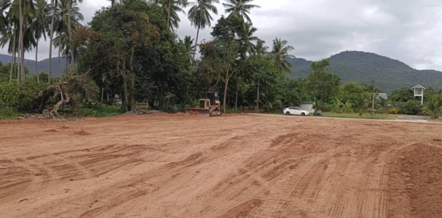 Land in Surat Thani, Thailand № 115707