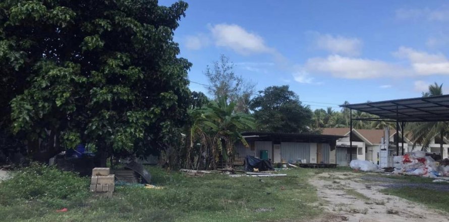 Terrain à Surat Thani, Thaïlande № 115705