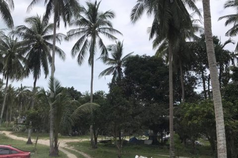 Terrain à Surat Thani, Thaïlande № 115705 - photo 3