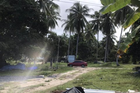 Terrain à Surat Thani, Thaïlande № 115705 - photo 2