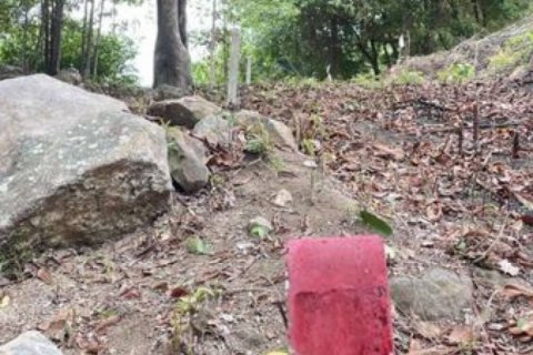 Земельный участок в Сураттхани, Таиланд № 115708 - фото 6