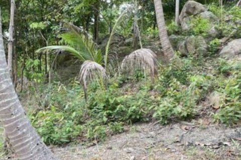 Земельный участок в Сураттхани, Таиланд № 115708 - фото 1