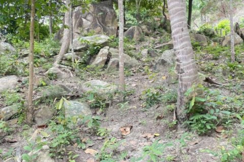 Земельный участок в Сураттхани, Таиланд № 115708 - фото 3