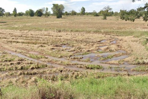 Land in Nakhon Ratchasima, Thailand 32000 sq.m. № 159651 - photo 6