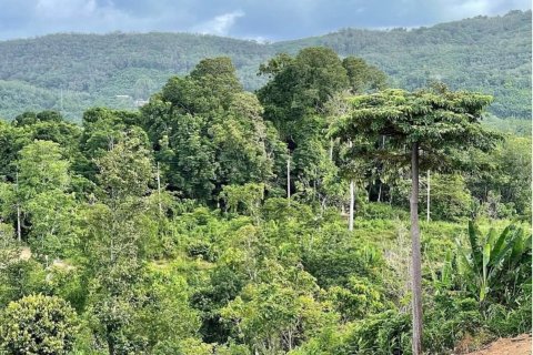 Земельный участок в Пхукете, Таиланд 3716.8м2  № 150091 - фото 5