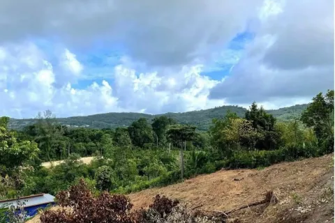 Земельный участок в Пхукете, Таиланд 3716.8м2  № 150091 - фото 2