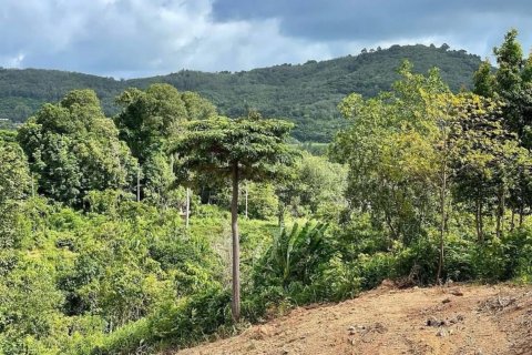 Земельный участок в Пхукете, Таиланд 3716.8м2  № 150091 - фото 9