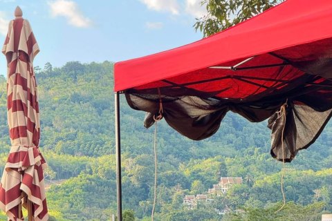 Земельный участок в Пхукете, Таиланд 3716.8м2  № 150091 - фото 13