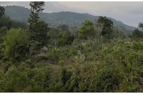 Земельный участок в Пхукете, Таиланд 3716.8м2  № 150091 - фото 10