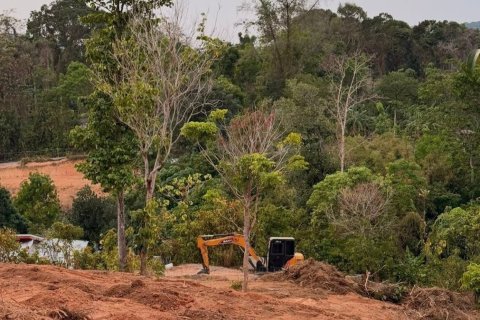 Земельный участок в Пхукете, Таиланд 3716.8м2  № 150091 - фото 6