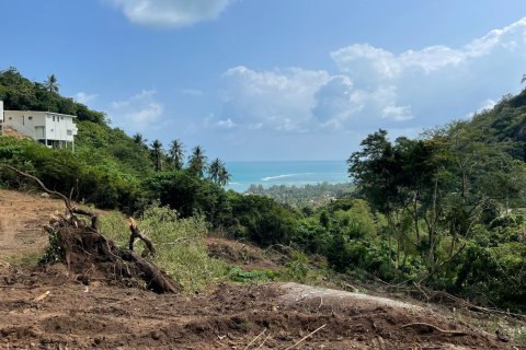 Land in Ko Samui, Thailand 8700 sq.m. № 138082 - photo 7