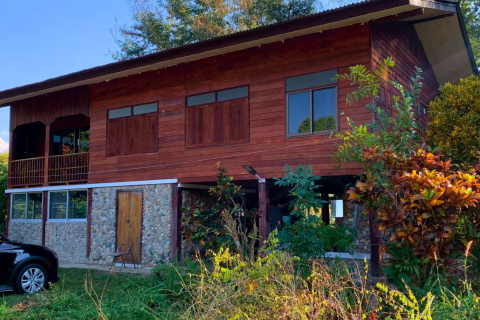 Земельный участок в Чиангмае, Таиланд 32000м2  № 147164 - фото 5